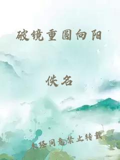 破镜重圆向阳