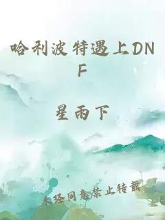 哈利波特遇上DNF