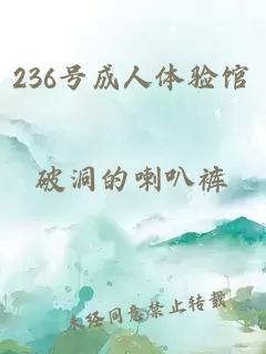 236号成人体验馆