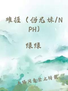 难捱（伪兄妹/NPH)