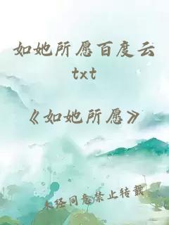 如她所愿百度云txt